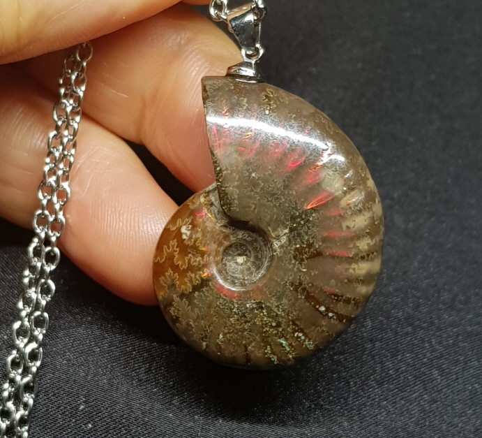 암몰라이트 화석펜던트