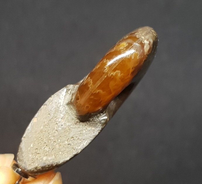 암몰라이트 화석펜던트