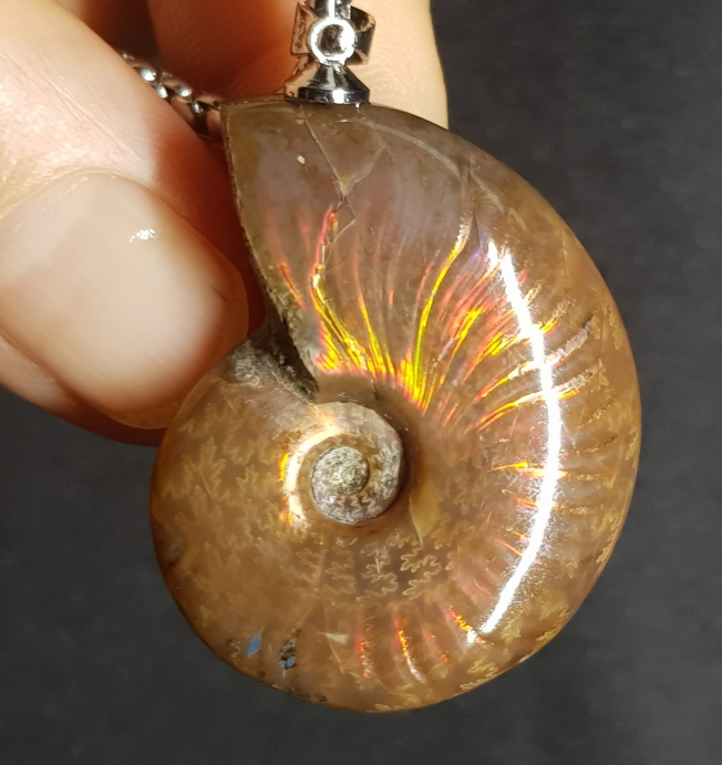 암몰라이트 화석펜던트