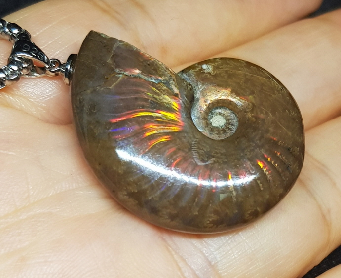 암몰라이트 화석펜던트