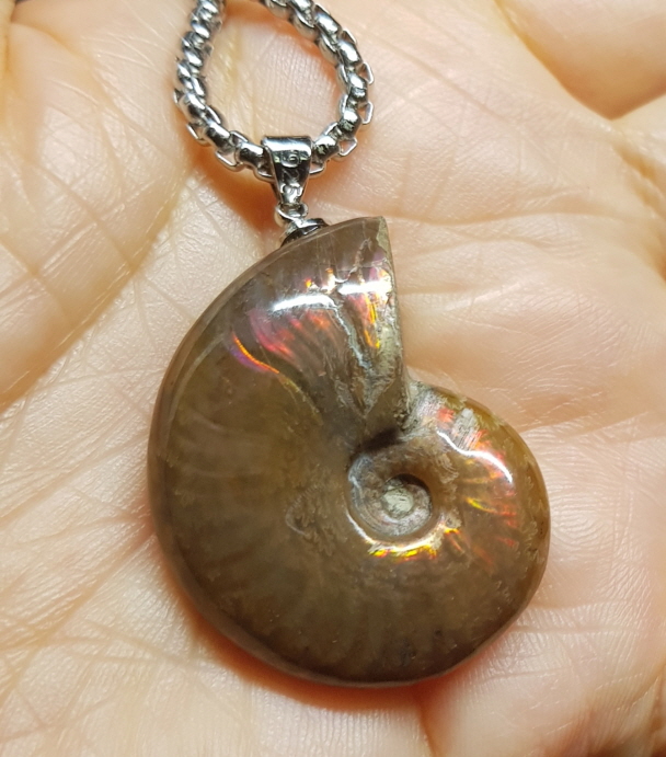 암몰라이트 화석펜던트