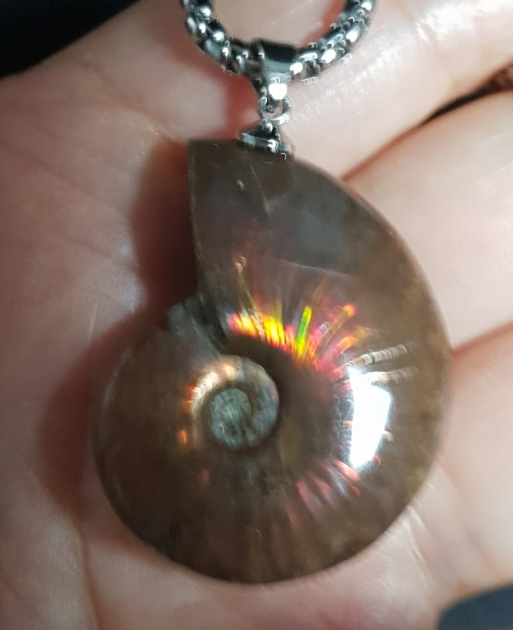 암몰라이트 화석펜던트