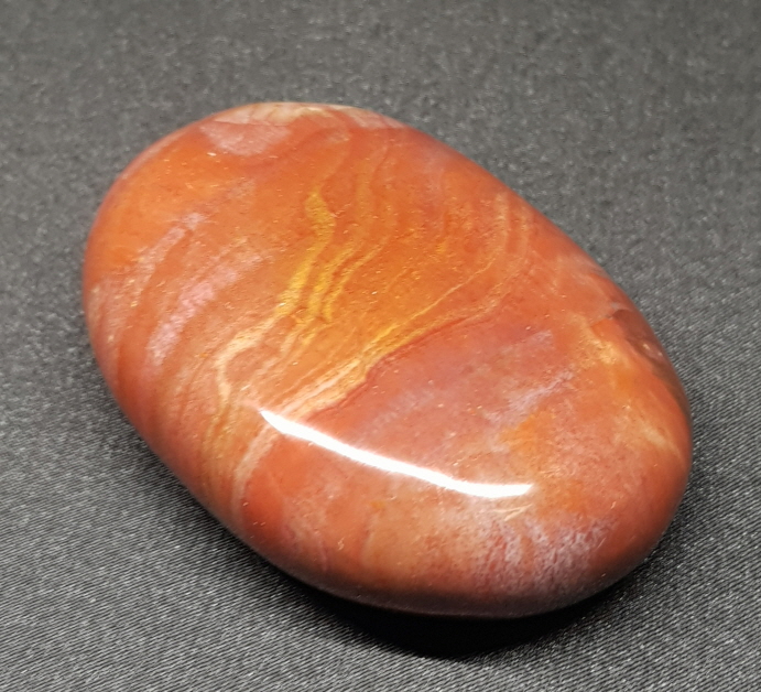 색감 좋은 나무 화석 자갈형