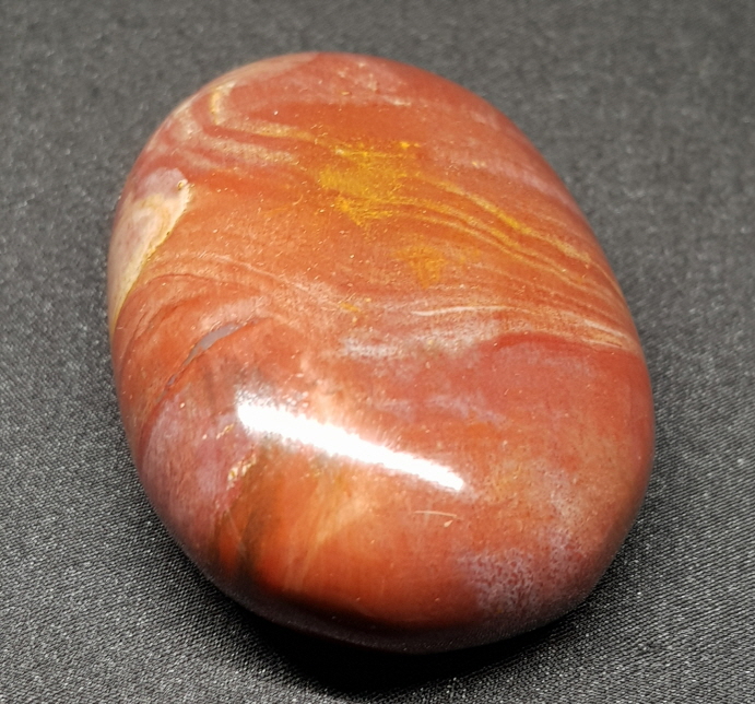 색감 좋은 나무 화석 자갈형