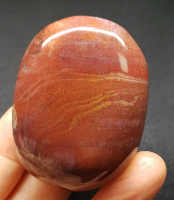 색감 좋은 나무 화석 자갈형