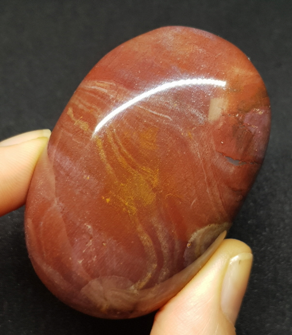 색감 좋은 나무 화석 자갈형