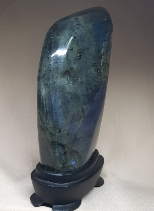 색감 아름다운 라브라도 라이트 소품