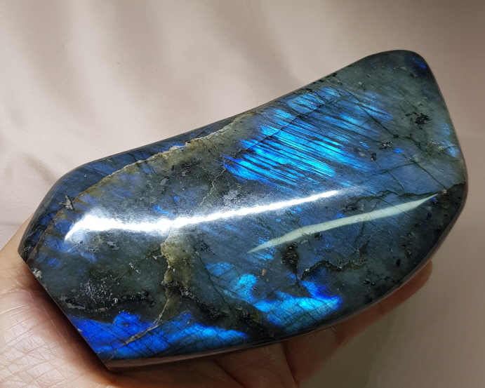 색감 아름다운 라브라도 라이트 소품