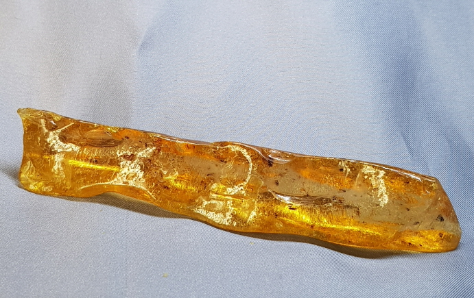 아프리카 호박화석