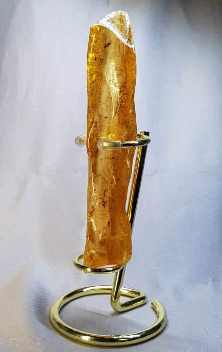 아프리카 호박화석