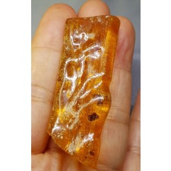 코팔 화석