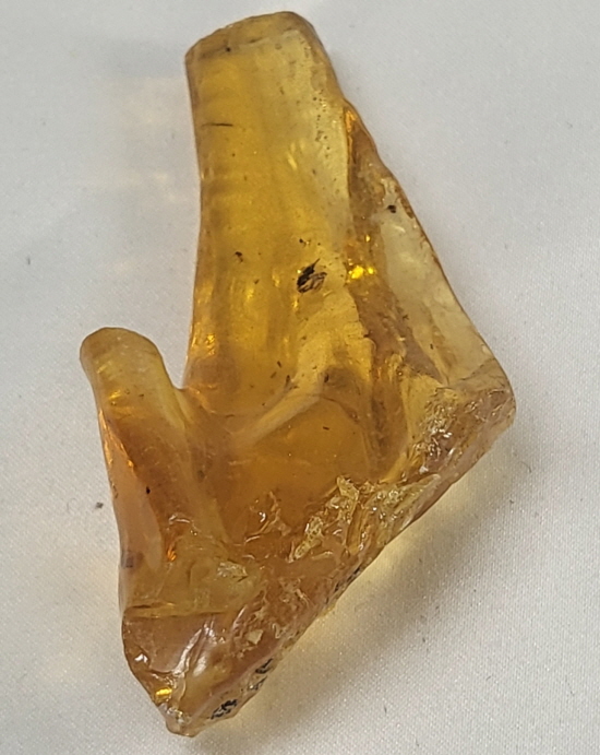 아프리카 호박(COPAL)화석