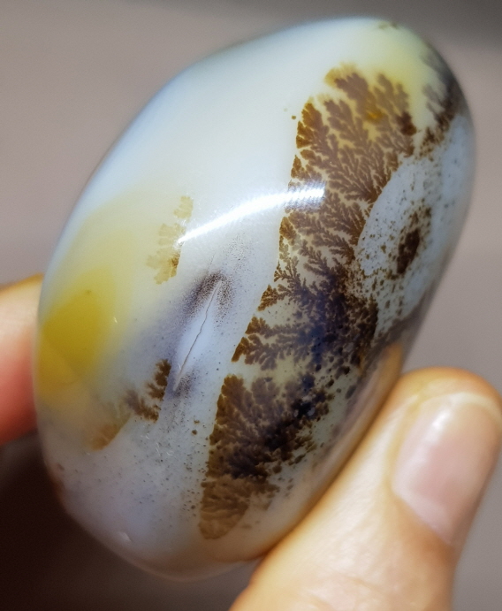 덴드리틱 아게이트(바다 속 풍경)