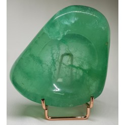 색감 좋은 플로라이트 소품