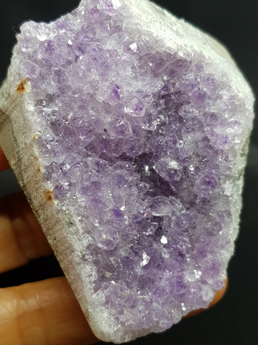 작은 자수정지오드